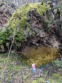 2024-3-6-Windwurf-Wasserstand-Schmitt-Maberzell